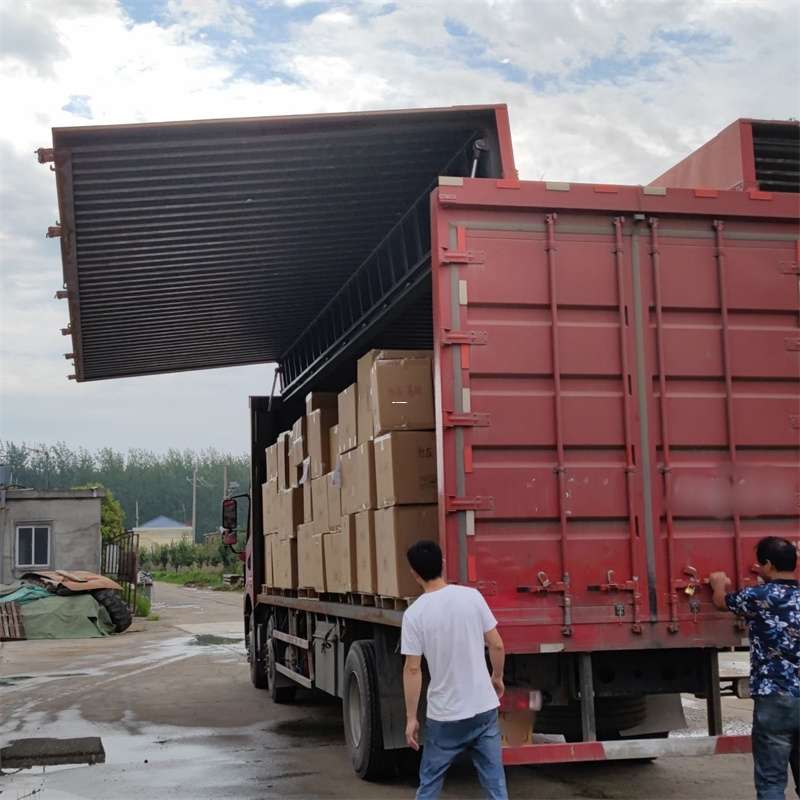碾子山区扎囊县：物流专线的高效货运之旅